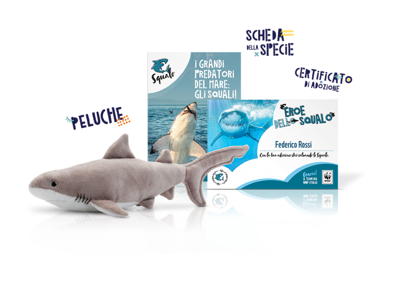 Bianco - Il Piccolo Squalo E La Sua Stella - Libreria Del Mare - Foto 3